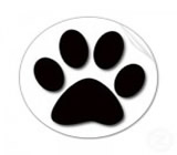 pet-shops-no-Itaquaquecetuba